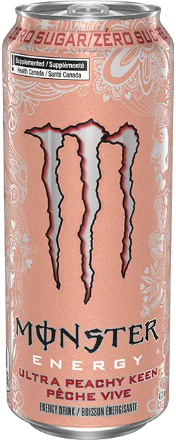 Monster Energy 355mL (Copy)