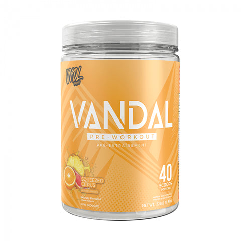 VNDL Pre Workout