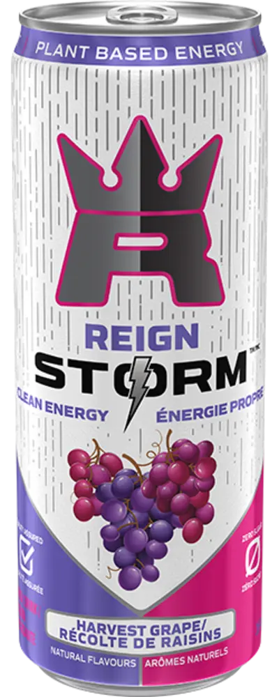 Reign Storm Clean Energy