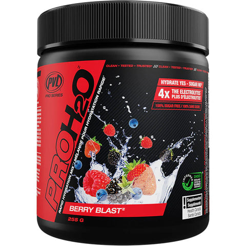 PVL Pro H2O  255g